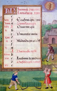 Ms 1058-1975 f6r Mowing Grass, valaistu kalenterisivu kesäkuulle, kirjasta Tuntikirja, n. 1500 (vellum) tekijältä Flemish School