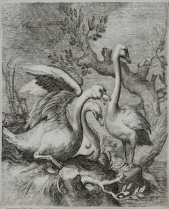 Old Master Kaiverrus tekijältä Flemish School