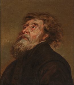 Tutkimus miehestä (öljy kankaalle) tekijältä Flemish School