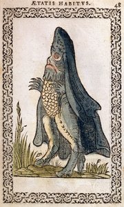 Meripiispa tai merihirviö, kuva Jean Sluperjin teoksesta Melkein kaikkien kansojen ja nykyisten kansakuntien tottumukset ja muotokuvat, Antwerpen, 1572 (väripuupiirros) tekijältä Flemish School