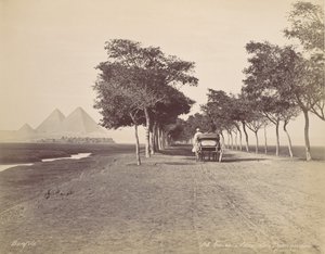 Kairo. Pyramidien kuja, n. 1870. tekijältä Félix Bonfils