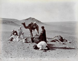 Egyptiläiset kamelit tauon aikana erämaassa. Etualalla kaksi pienen ryhmän jäsentä näyttävät rukoilevan