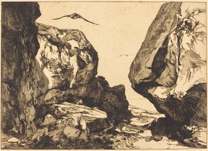 Gorge in the Rocks tekijältä Félix Bracquemond after Jules Laurens