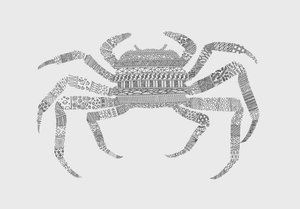 Rapu