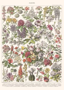 Flowers II – ASTER EDITION, 2023 (digitaalinen)