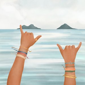 Shaka Hands: Trooppinen valtameri tekijältä Flow Line