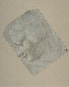 Naisen pää profiilissa vasemmalle, 1490-1500. tekijältä Follower of Leonardo da Vinci.