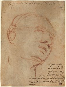 Miehen pää tekijältä Follower of Michelangelo