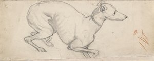 Vinttikoiran tutkimus, 1800-luvun puoliväli tekijältä Ford Madox Brown