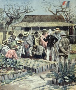 Ranskalaiset opettavat maanviljelyä Madagaskarin alkuperäisväestölle vuonna 1897 (kaiverrus).