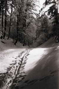 Hiljaisuus ja mysteeri tekijältä Fosco Maraini