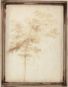 Tutkimus puusta tekijältä Fra Bartolomeo