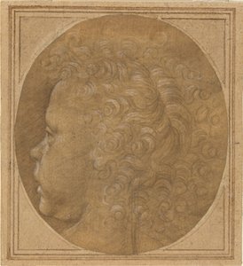 Lapsen pää [recto] tekijältä Fra Bartolommeo