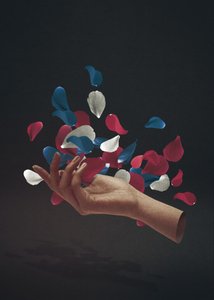  tekijältä Fran Rodríguez