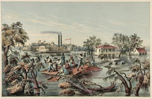 High Water in the Mississippi, pub.1868 tekijältä Frances Flora Bond Palmer