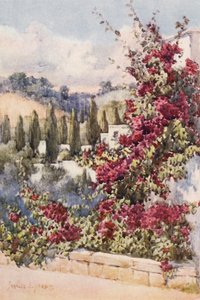Parvekkeellani, Algerissa (värilitografia) tekijältä Frances Nesbitt