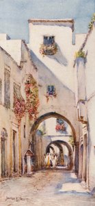 Rue Tourbet el Bey, Tunis (värilitro). tekijältä Frances Nesbitt