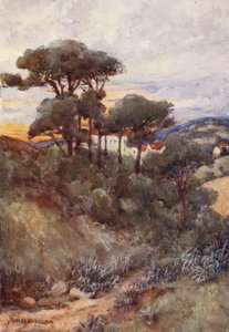 Stone Pines, Algiers (värilitro) tekijältä Frances Nesbitt