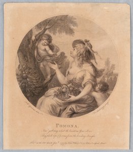 Pomona tekijältä Francesco Bartolozzi