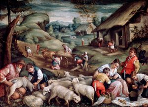 Kesä. Lampaiden leikkaus, c1570-c1580