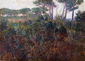 Pinewoods Torre del Lagossa tekijältä Francesco Fanelli