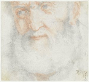 Vanhan miehen pää, jolla on parta tekijältä Francesco Furini (attributed to)