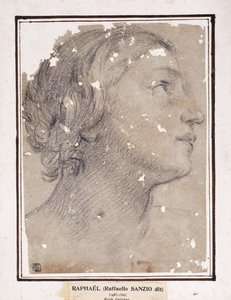 Naisen pää, profiilissa oikealla, tekijältä Francesco Giovanni Gessi