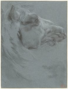 Hevosen pää tekijältä Francesco Giuseppe Casanova