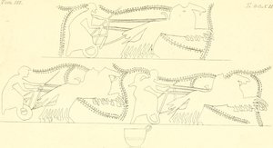 INGHIRAMI(1835) Fiktiilimaljakoiden maalaukset Vol3 T212 (14598189190) tekijältä Francesco Inghirami