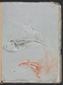 Verona Sketchbook: Verhotutkimukset (sivu 17)