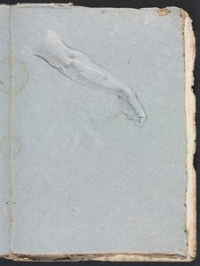 Verona Sketchbook: Oikea käsi ja käsi sivu 95, 1760. tekijältä Francesco Lorenzi