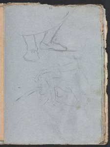 Verona Luonnoskirja: Jalkojen tutkimus (sivu 53) tekijältä Francesco Lorenzi