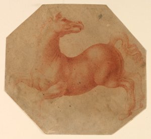Kasvatushevostutkimus Leonardo da Vincin jälkeen