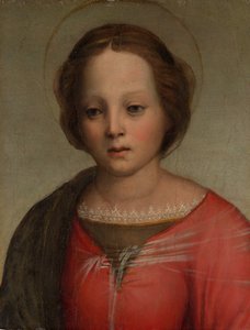 Madonnan johtaja, n. 1509.