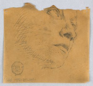 Osittainen luonnos kasvoista tekijältä Francis Augustus Lathrop