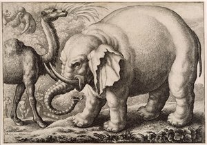 Elefantti ja kameli, kaiverrus Wenceslaus Hollar (1607-77) 1663 tekijältä Francis Barlow