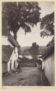 31. Exeter, Kreivitär Weirin mökit, 186094. tekijältä Francis Bedford