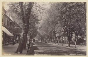 Cheltenham, Promenade, 186094. tekijältä Francis Bedford