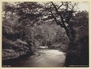 Ivy Bridge, näkymä Prysor-joelle tekijältä Francis Bedford