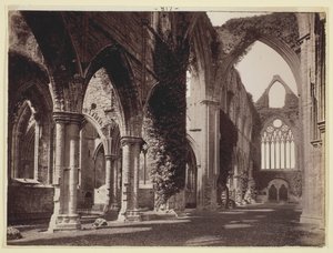 Nimetön [Tintern Abbey], 186094. tekijältä Francis Bedford