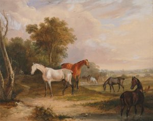 Hevoset laiduntamassa: harmaa ori laiduntamassa tammojen kanssa niityllä. tekijältä Francis Calcraft Turner