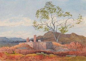 Rauniot Agoolassa, Tigre