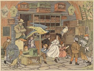 Bedfordin kauppojen kirja: Bird-fancier (värilitho). tekijältä Francis Donkin Bedford