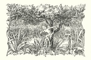 Merrie England: Robin Goodfellow (litografia) tekijältä Francis Donkin Bedford