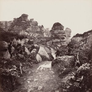 Brimham Rocks, Yorkshire tekijältä Francis Frith