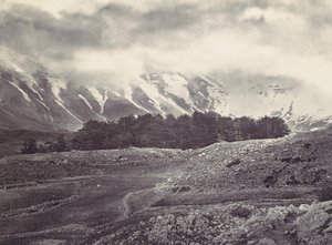 Kaukainen näkymä Libanonin Cedarsille, n. 1857. tekijältä Francis Frith
