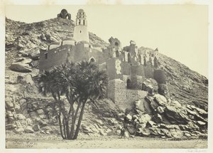 Doum Palm ja rauniomoskeija, Philæ, 1857. tekijältä Francis Frith