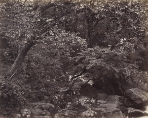 Glen Lynmouthissa, 1860-luku tekijältä Francis Frith