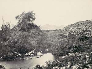 Jericon suihkulähde ja kaupungin todennäköinen paikka, n. 1857. tekijältä Francis Frith