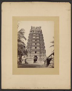 Trickaleecoondrum, La Pagoda, Porte E tekijältä Francis Frith
